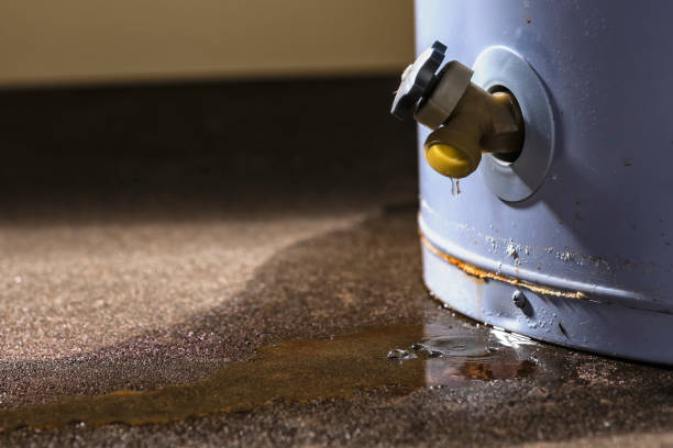 Best Water damage restoration cost  in Frazier Park, CA