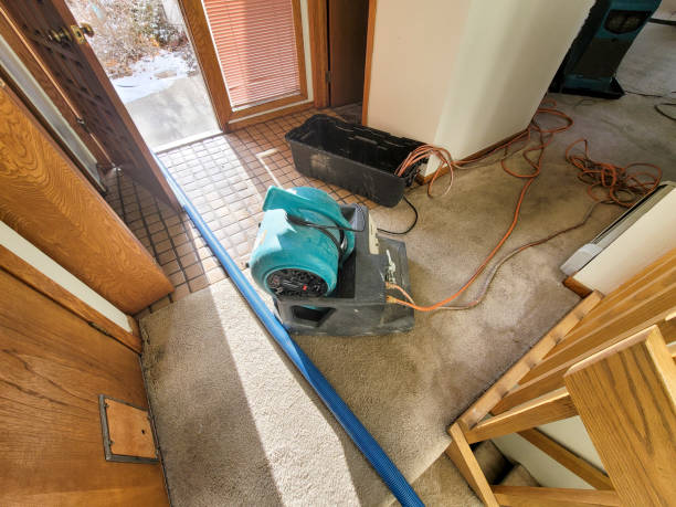 Best Fire Damage Restoration  in Frazier Park, CA