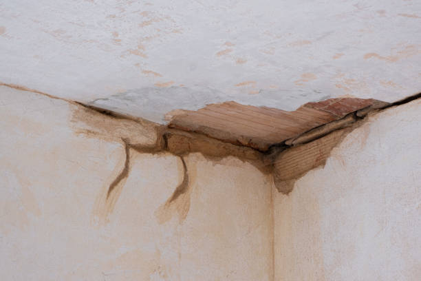  Frazier Park, CA Water damage restoration Pros