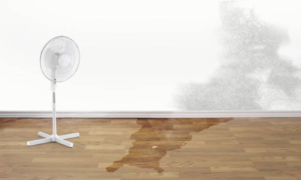 Best Basement water damage restoration  in Frazier Park, CA