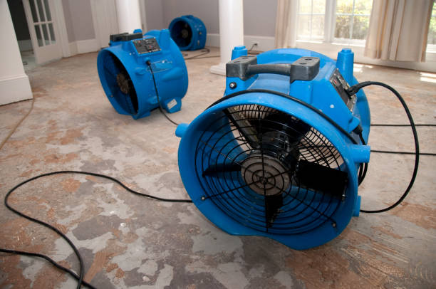 Best 24/7 water damage repair  in Frazier Park, CA