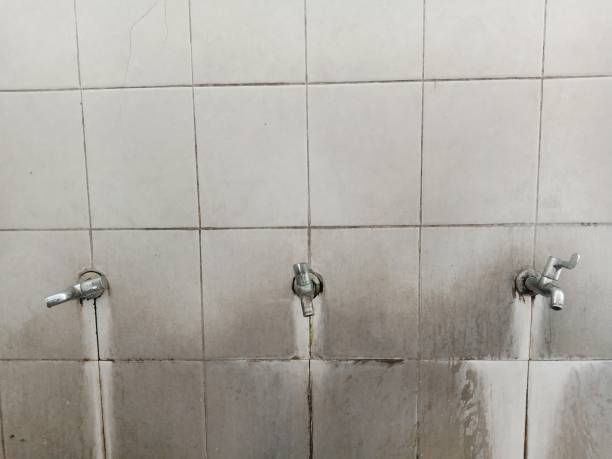 Best 24-hour water damage restoration  in Frazier Park, CA