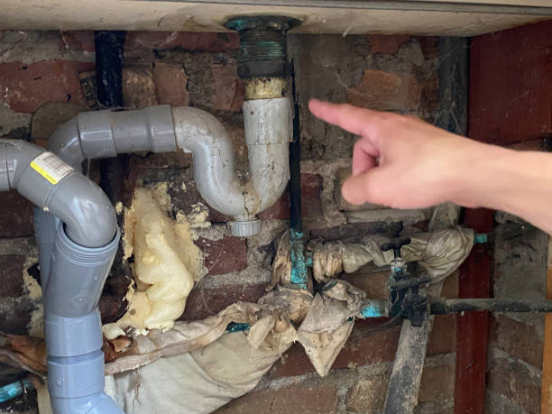 Best Professional water damage repair  in Frazier Park, CA