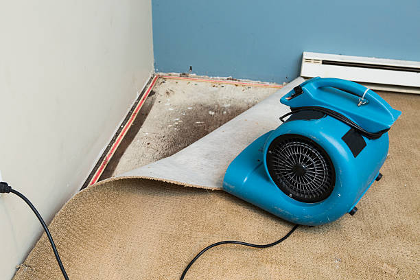 Reliable Frazier Park, CA Water damage restoration Solutions